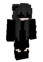 Скин по нику ShadowPikachu101