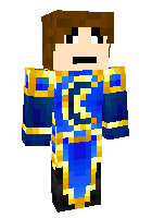 Скин по нику ShadowWizard
