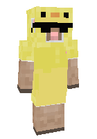Скин по нику Shduck