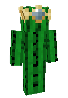 Скин по нику SimpleCactus
