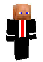 Скин по нику SirDuck11