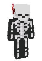 Скин по нику Skeletonhunters