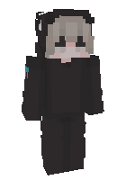 Скин по нику SkeppyFan