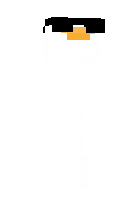 Скин по нику Skilleton