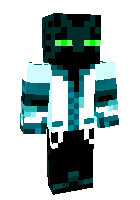 Скин по нику Skin_Pro