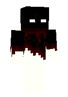 Скин по нику SkiniX