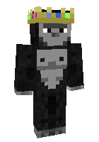 Скин по нику Skulk__
