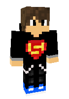 Скин по нику SkyFlashGamer