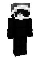Скин по нику Skylord_ice