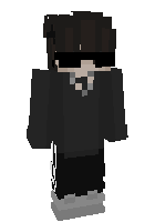 Скин по нику SlowTellyBridger