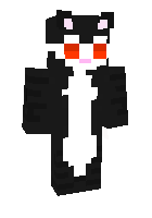 Скин по нику SmallCat