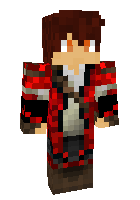 Скин по нику SoulGamer_