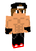 Скин по нику SpeedyGamess
