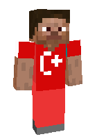 Скин по нику SqertySilex