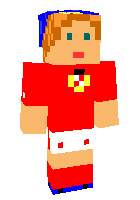 Скин по нику Stefan_FCE