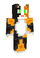 Скин по нику SteveKitten