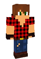 Скин по нику SteveO