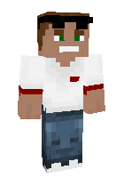 Скин по нику Stimyle