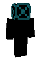 Скин по нику StructureVoid