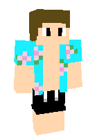 Скин по нику SwegStar