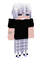 Скин по нику T1nkez