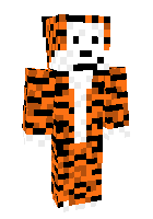 Скин по нику TIGRA_