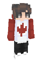 Скин по нику TOASTYK