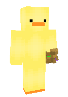Скин по нику T_bot