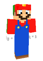 Скин по нику TheMarioBrothers