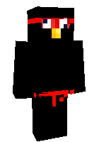 Скин по нику TheNinjaTurkey