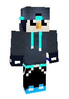 Скин по нику ThePartyPinguin