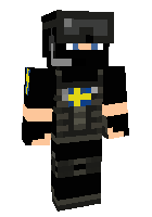 Скин по нику TheSwedenElite