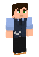Скин по нику The_doctor