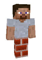 Скин по нику Themadninjaguy