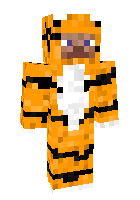 Скин по нику Tiger__