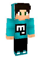 Скин по нику TimonYT