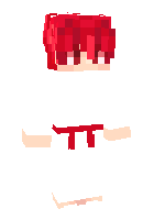 Скин по нику TokyoLixoPvP
