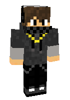 Скин по нику TopGamer221