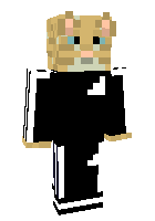 Скин по нику TopRekter