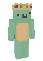 Скин по нику TortuXD