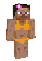 Скин по нику Toshek