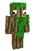 Скин по нику TropicalForest