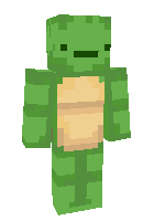 Скин по нику Turtle090