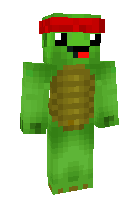 Скин по нику Turtle16