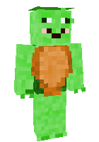 Скин по нику Turtles_
