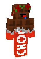 Скин по нику TwiX_