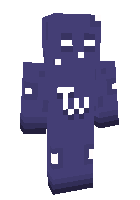 Скин по нику Twonkaaaaaaa
