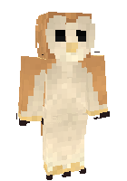 Скин по нику Tyto_Onidae