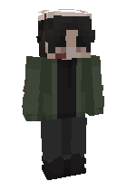 Скин по нику Vectorpro