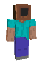 Скин по нику Vibecraft